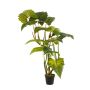 Kunstpflanze Colocasia SOTU, grün, 175cm