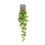 Dekopflanze Philodendron Scandens Hänger RUESCA auf Steckstab, 90cm