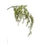 Künstlicher Eukalyptuszweig PINORO, grün, 120cm