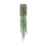 Kunst Sukkulente Rhipsalis Hänger TUREIS, Steckstab, grün-grau, 70cm