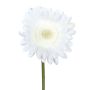 Kunstblume Gerbera TUNZA, weiß, 50cm