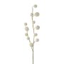 Kunstzweig Ballon-Wolfsmilch YANIKA, Früchten, weiß, 105cm