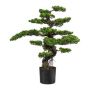 Deko Baum Bonsai Teepflanze KEFIEL mit Wurzeln, 90cm