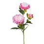 Künstlicher Zweig Pfingstrose SLORMEK, rosa-weiß, 65cm