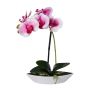Deko Phalaenopsis Orchidee ORWAN, Dekoschale, Wurzeln, weiß-lila, 30cm