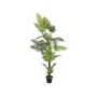 Unechte Goldfruchtpalme EMELINE, 180cm