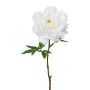 Plastikblume Pfingstrose GLOUT, weiß, 65cm