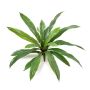 Künstlicher Asplenium JANE, grün, 40cm