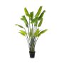Kunst Strelitzia OMBRA, grün, 200cm