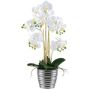 Textil Phalaenopsis Orchidee VORDLIN, Keramiktopf silber, Wurzeln, weiß, 60cm
