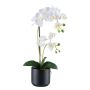 Kunst Phalaenopsis Orchidee MAYAK, Keramiktopf, Wurzeln, weiß, 50cm