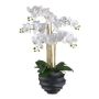 Textil Phalaenopsis Orchidee STONFER, Dekotopf schwarz, Wurzeln, weiß, 70cm