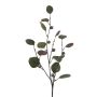 Kunstzweig Eukalyptus TRAVON mit Früchten, grün, 75cm