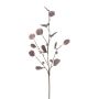 Kunstzweig Eukalyptus TRAVON mit Früchten, aubergine, 75cm