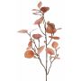 Kunstzweig Eukalyptus INDALA mit Früchten, lachs, 85cm