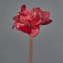 Samt Amaryllis Dekoblume KIRSTY, rot, 70cm, Ø13-15cm