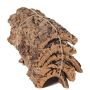 Naturkork Rindenstücke DIANTHA, 5 Stück, braun, 50x25cm