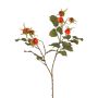 Deko Apfel-Rosen Zweig FILONAS mit Hagebutten, orange-rot, 60cm
