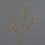Kunst Wachsblume NIANG, orange-rot, 80cm, Ø1,5-2,5cm