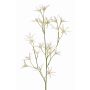Deko Blumen Zweig Tweedia solanoides PALLAS, weiß, 70cm, Ø5cm