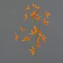 Deko Blumen Zweig Tweedia solanoides PALLAS, orange, 70cm, Ø5cm