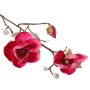 Dekozweig Magnolie KOSTAS, pink, 55cm, Ø6-8cm