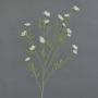 Dekozweig Kornblume ZENOBIOS, creme, 80cm, Ø3-4cm
