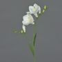 Deko Blume Freesie MARUSHA, weiß, 70cm, Ø6cm