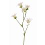 Kunstblume Japanische Nelke KASTALIA, creme, 65cm, Ø4-5cm