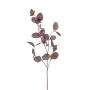 Deko Zweig Eukalyptus MAXEN mit Früchten, violett-grau, 75cm