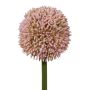 Künstliche Blume Allium MENKES, rosa, 65cm