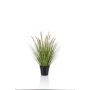 Kunstpflanze Gras Federborstengras YWAIN mit Rispen, beige-grün, 70cm