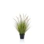 Kunstpflanze Gras Federborstengras YWAIN mit Rispen, beige-grün, 85cm