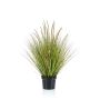 Kunstpflanze Gras Federborstengras YWAIN mit Rispen, beige-grün, 100cm