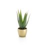 Kunst Sukkulente Aloe Variegata MARTINEZ, Keramiktopf gold, grün, 25cm, Ø17cm
