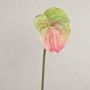 Anthurie künstlich YUSEI, grün-rosa, 65cm, 13,5x16cm
