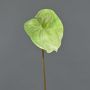 Anthurie künstlich YUSEI, grün-creme, 65cm, 13,5x16cm