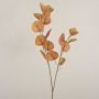 Kunst Eukalyptus Zweig SOPONG, braun, 80cm