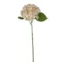 Samt Hortensie LOBPURI, hellrosa, 55cm, Ø15cm