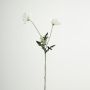 Plastik Zweig Mohnblume GUNDULA, Eco Collection, weiß-lila, 70cm, Ø7-8cm