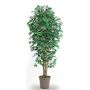 Kunst Ficus Benjamini LEONORET, Echtstämme, grün-weiß, 250cm - Made in Italy