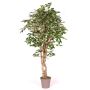 Kunststoffschaum Ficus Benjamini YANEXY, Naturstämme, grün-weiß, 200cm - Made in Italy
