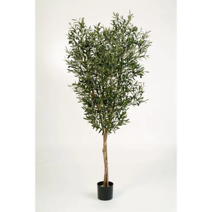 Künstlicher Olivenbaum 85 Cm Mit 1248 Blättern & 30 Oliven – Täuschend Echtes Kunstbäumchen
