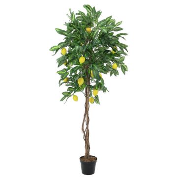 Künstlicher Zitronenbaum ZOYA, Naturstämme, mit Früchten, 180cm