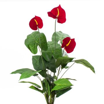 Kunststoff Anthurium CALVINA zum Stecken, rot, 80cm, 12x16cm