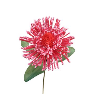 Deko Nadelkissen Protea ISLARTINA, rot-pink, 75cm