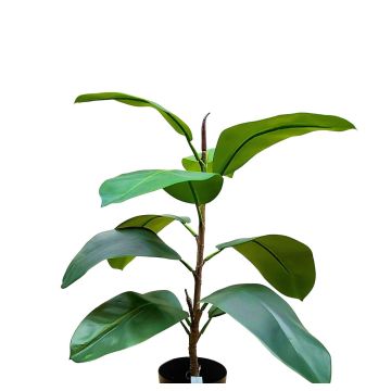 Künstlicher Gummibaum FRODELINDE, Kunststamm, grün, 60cm