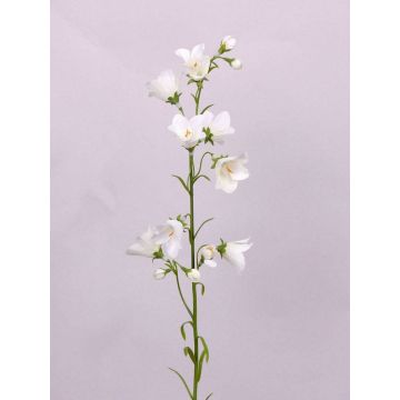 Kunst Glockenblume GISELA, weiß, 65cm, Ø5cm