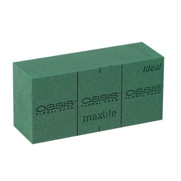 OASIS Ideal Maxlife Nasssteckschaum Ziegel BOZO mit Schneidelinien, grün, 23x11x7,5cm