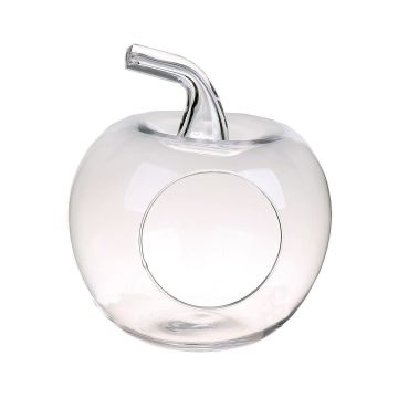 Terrarium Glas TISOA in Apfelform, klar, 21cm, Ø19cm